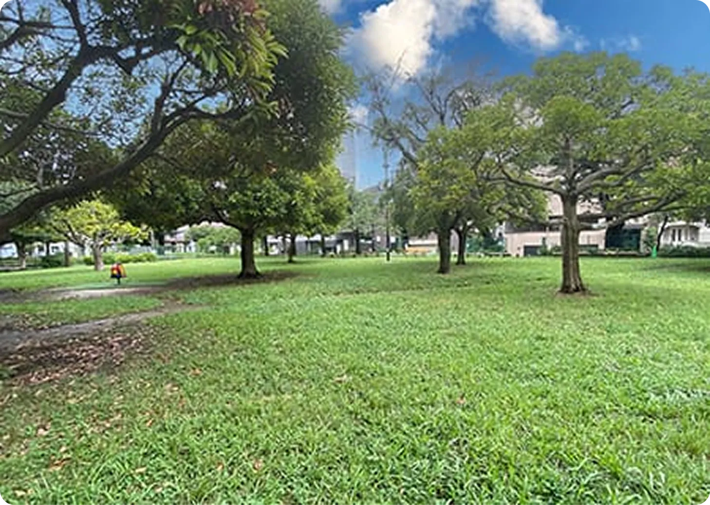 青山公園 北地区